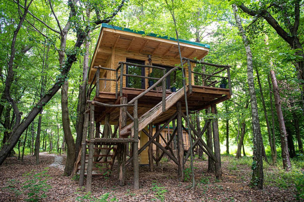 Living Forest Resort Moravske-Toplice Exterior photo