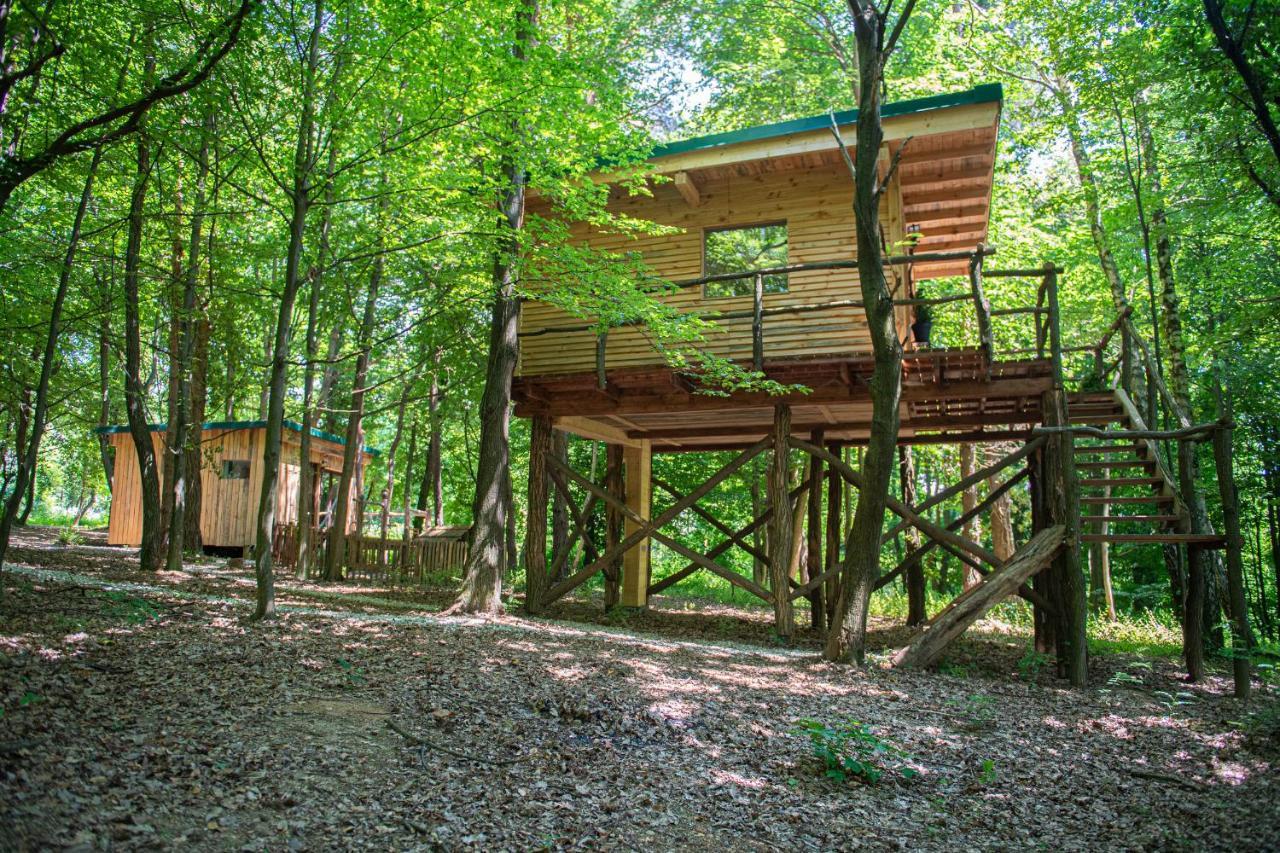 Living Forest Resort Moravske-Toplice Exterior photo