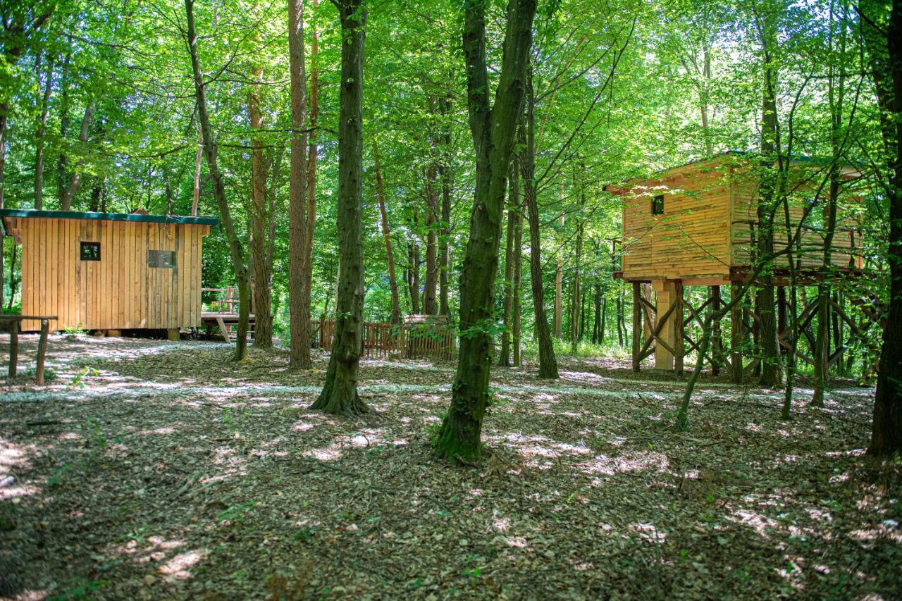 Living Forest Resort Moravske-Toplice Exterior photo